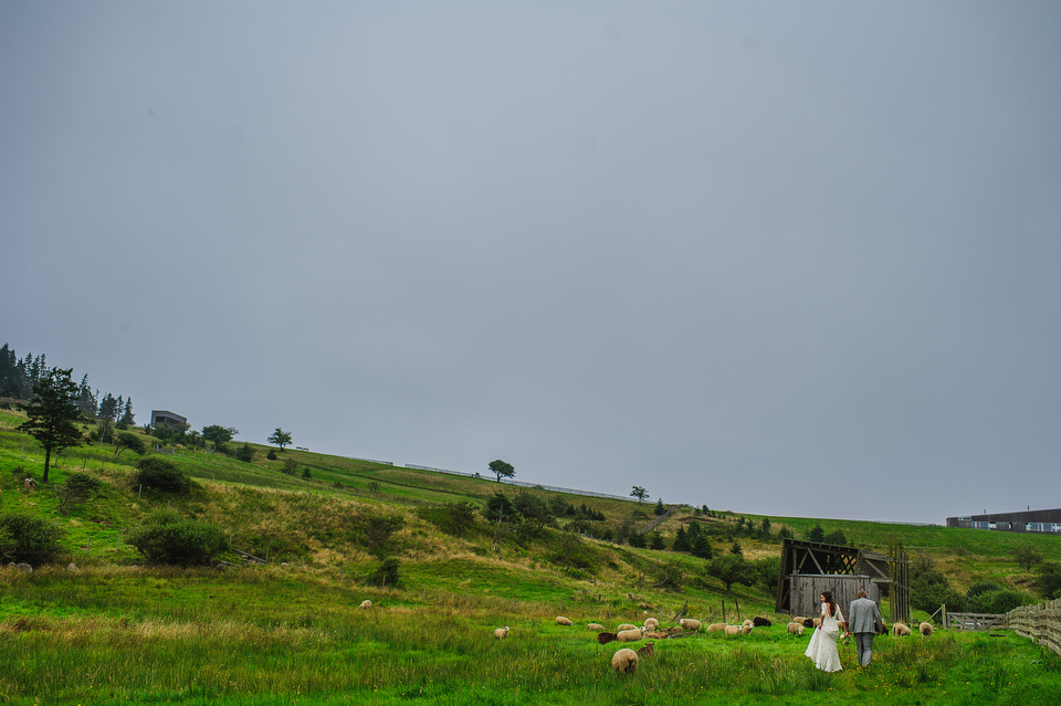 nova_scotia_wedding_photographer031