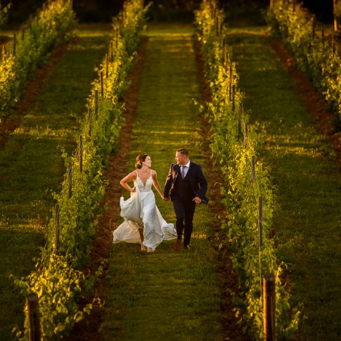 bride and groom running through a vineyard at lightfoot wolfville wedding